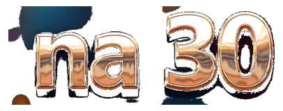 na 30 logo